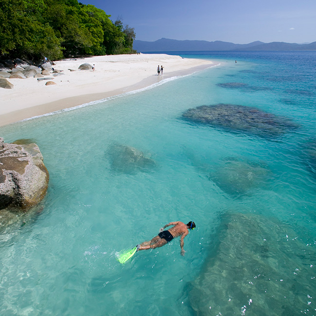 reef tours from fitzroy island