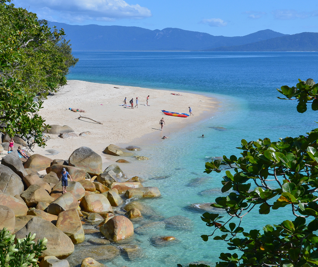 cairns reef tours fitzroy island